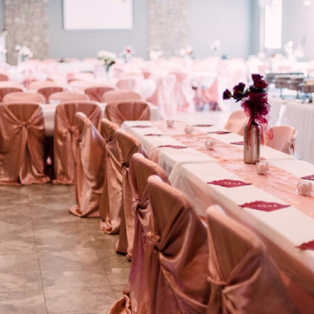 Set of 10 (of 200) Rose Universal Tie Chair Covers